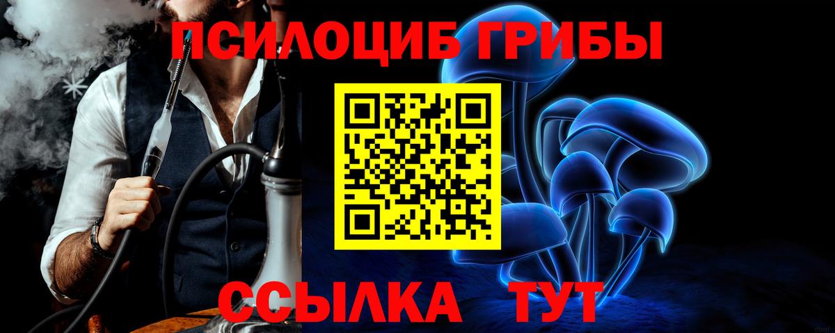 Галлюциногенные грибы Psilocybe Ирбит