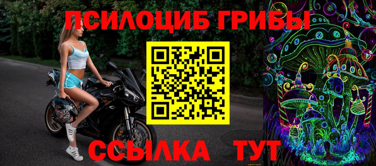 Ирбит  Псилоцибиновые грибы Psilocybe  Галлюциногенные грибы прущие грибы  Вход с VPN 
